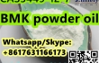 strong BMK powder oil CAS5449-12-7 high quality