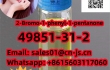 safe delivery CAS49851-31-2 2-Bromo-1-phenyl-1-pentanone