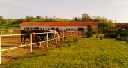 Продава животновъдна ферма УПИ 33600м2 БАРТЕР! Финансиране по ПРСР.
