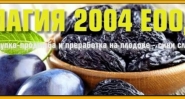 Магия 2004 ЕООД