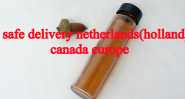 Netherlands White / Yellow PMK Powder for Sale 28578-16-7 PMK Oil