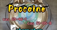 Local Anesthetic Materials Procaine Base CAS 59-46-1 Procaine Powder/Lidocaine/Tetracaine/Benzocaine