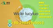 Netherlands wholesale bmk glycidate 5449-12-7 powder door to door