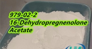 hot CAS 979-02-2 16-Dehydropregnenolone Acetate selling