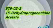 powder CAS 979-02-2 16-Dehydropregnenolone Acetate
