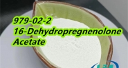Factory CAS 979-02-2 16-Dehydropregnenolone Acetate direct sales