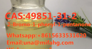 high-quality CAS:49851-31-2 2-Bromo-1-phenyl-1-pentanone