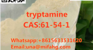 Safe delivery CAS:61-54-1tryptamine