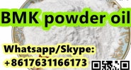 strong BMK powder oil CAS5449-12-7 high quality