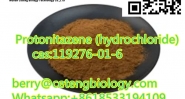 Protonitazene (hydrochloride),cas:119276-01-6