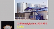 Supply L-Phenylglycine CAS NO. 2935-35-5 with best price