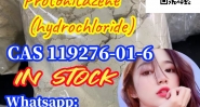 big discount Protonitazene (hydrochloride) 119276-01-6 