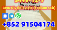 New product,MK Glycidic Acid (sodium salt) 5449-12-7