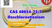 CAS 40054-73-7 Deschloroetizolam