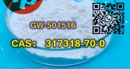 CAS:317318-70-0