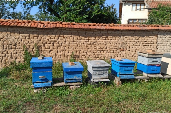 Продавам 5 пчелни семейства