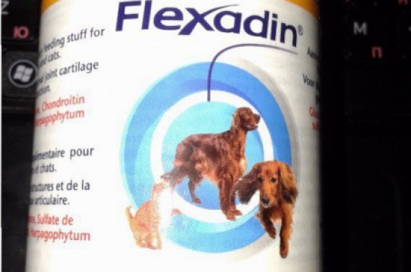 Флексадин - добавка за костно-ставния апарат на кучета