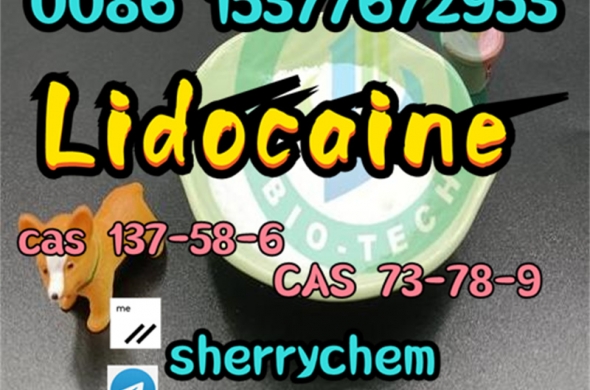 Lidocaine Powder CAS 137-58-6 Anesthetic Agents Lidocaine China Factory Price
