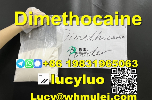 Dimethocaine hydrochloride pure powder 553-63-9 buy online