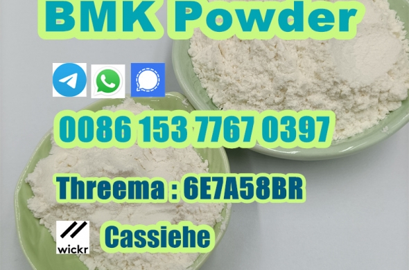 BMK Glycidate Powder CAS 5449-12-7 New BMK Powder