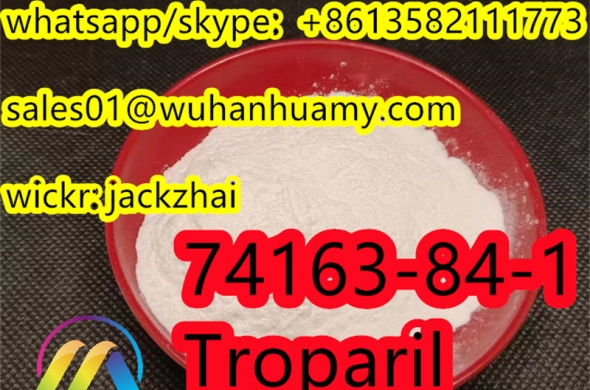 Factory CAS 74163-84-1 Troparil direct sales
