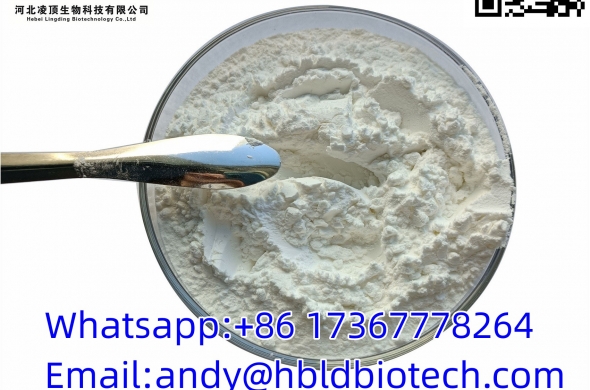 High Quality Testosterone Powder CAS 58-22-0