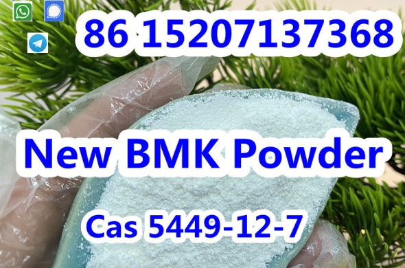 bmk powder cas.5449-12-7 pickup in germany warehouse