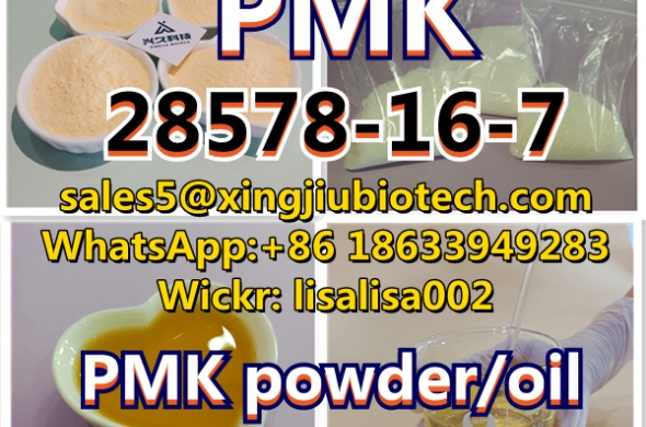 High Quality 99.99% Purity New Pmk Powder  CAS28578-16-7