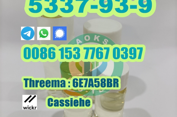 China Factory Supply CAS 5337-93-9 4-Methylpropiophenone Professional Supplier