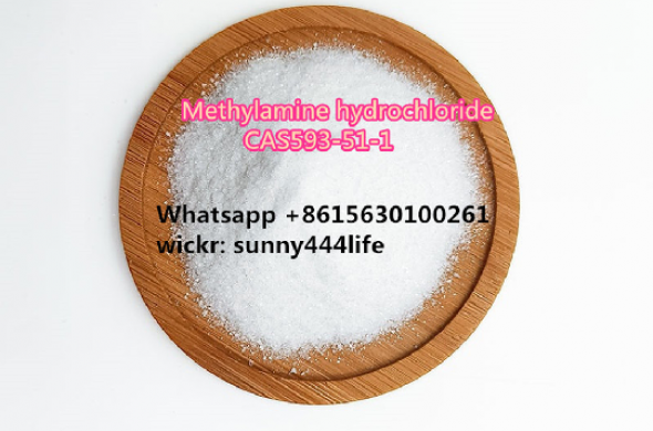 Methylamine hydrochloride CAS593-51-1 white powder chemical