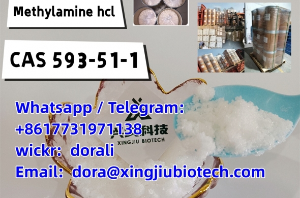 High quality and low price Methylamine hydrochloride 593-51-1