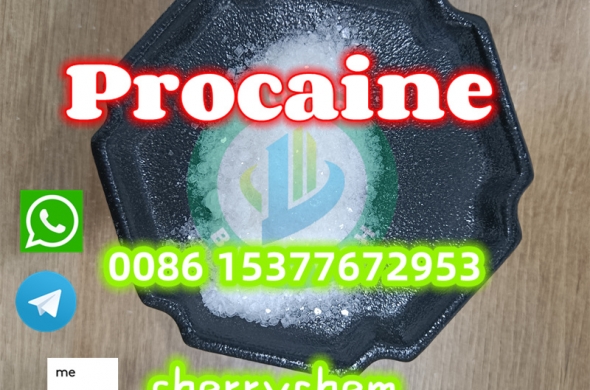 China Procaine Base CAS59-46-1 Raw Powder Procaine Powder