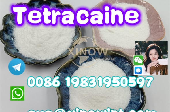 Tetracaine Powder CAS 94-24-6 Base Tetracaine with High Quality