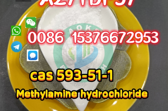 Methylamine hydrochloride cas 593-51-1 with Fast Delivery