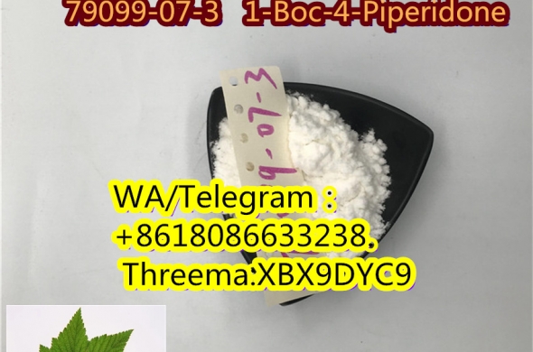 79099-07-3 1-Boc-4-Piperidone