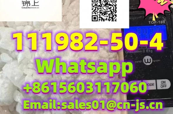 factory supply 2-FDCK 111982-50-4  