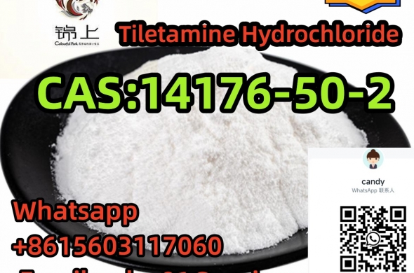 hight quality 14176-50-2 Tiletamine Hydrochloride