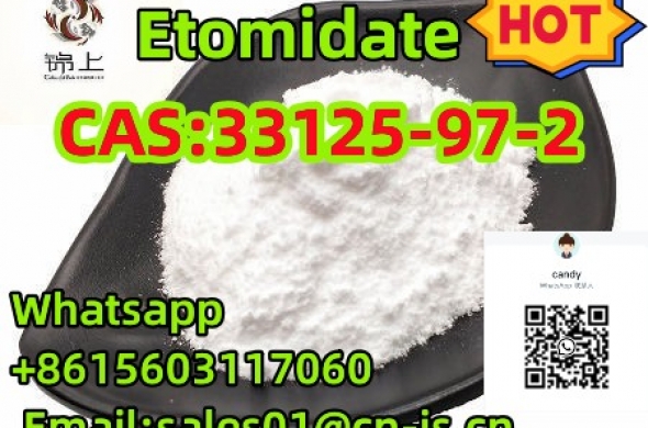 Pharmaceutical Grade 33125-97-2 Etomidate
