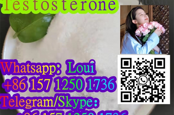 best price Testosterone 58-22-0 manufacturer