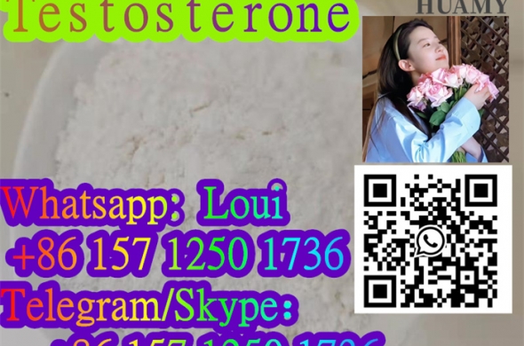 best price Testosterone 58-22-0 manufacturer