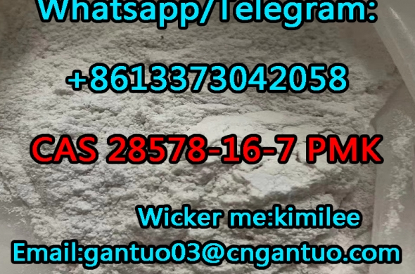 CAS 28578-16-7 PMK ethyl glycidate CAS 959249-62-8
