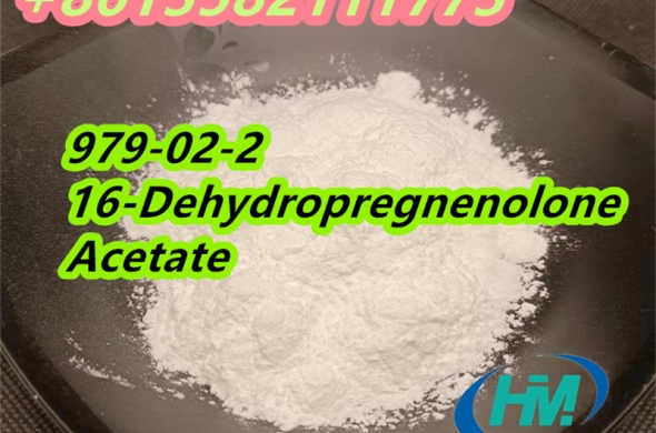 High CAS 979-02-2 16-Dehydropregnenolone Acetate Purity 99%