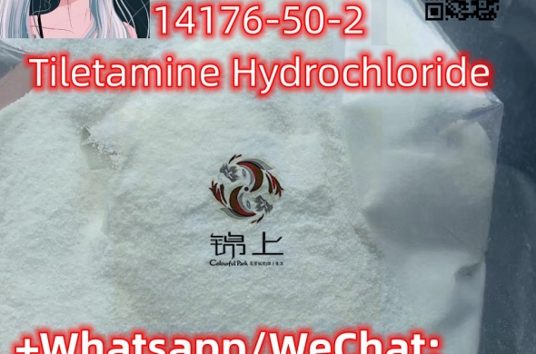 14176-50-2 Tiletamine Hydrochloride