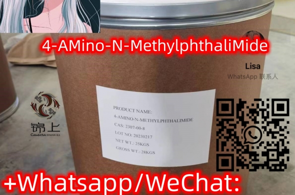 2307-00-8，4-AMino-N-MethylphthaliMide 