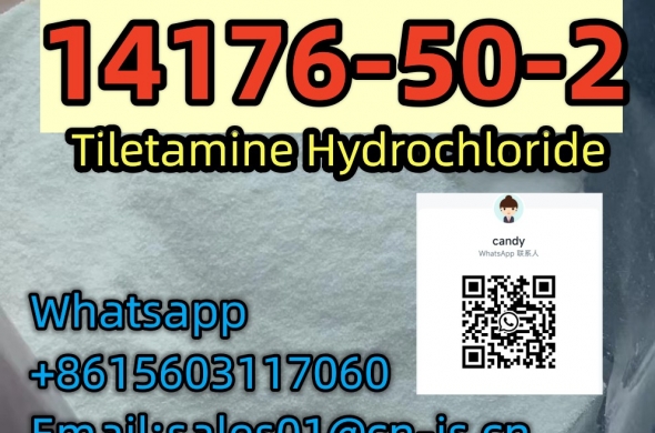 14176-50-2 Tiletamine Hydrochloride