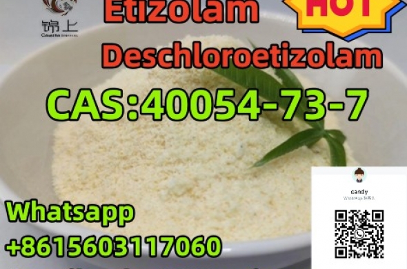 china supply 40054-73-7 Deschloroetizolam
