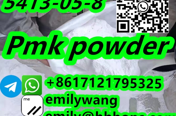 china factory sell bmk powder 5449-12-7 supplier 5413-05-8 supplier 13605-48-6 supplier