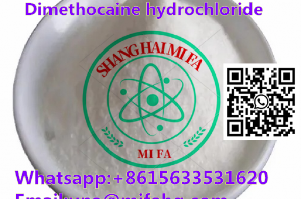 Factory supply 553-63-9 Dimethocaine hydrochloride