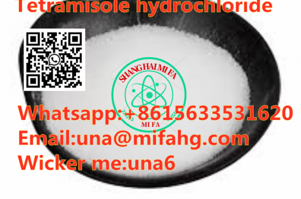Factory supply CAS:5086-74-8 Tetramisole hydrochloride