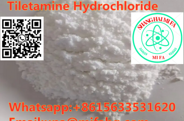 Factory supply Tiletamine Hydrochloride cas：14176-50-2